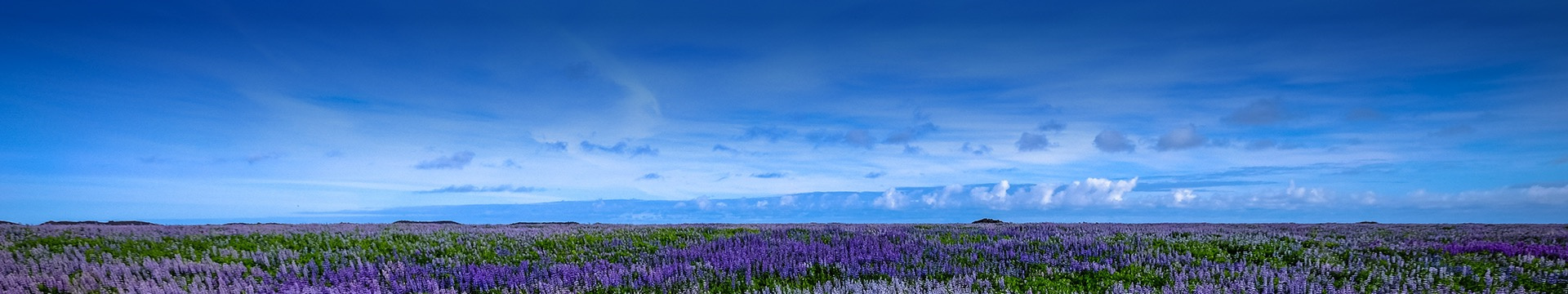 攀枝花青山公墓